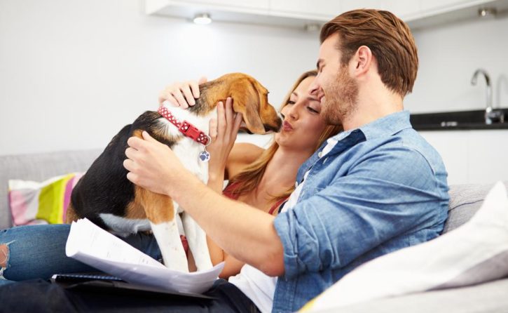 Five Reasons To Buy Pet Insurance