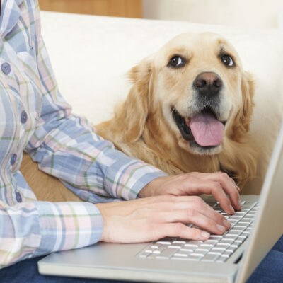 What Exactly Does Pet Insurance Cover?