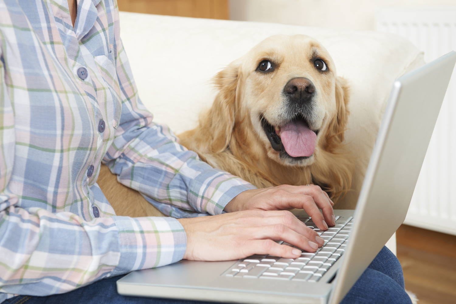 What Exactly Does Pet Insurance Cover?