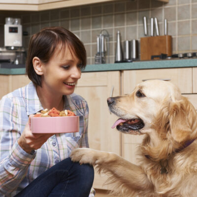 What is the Best Protein in Pet Food?