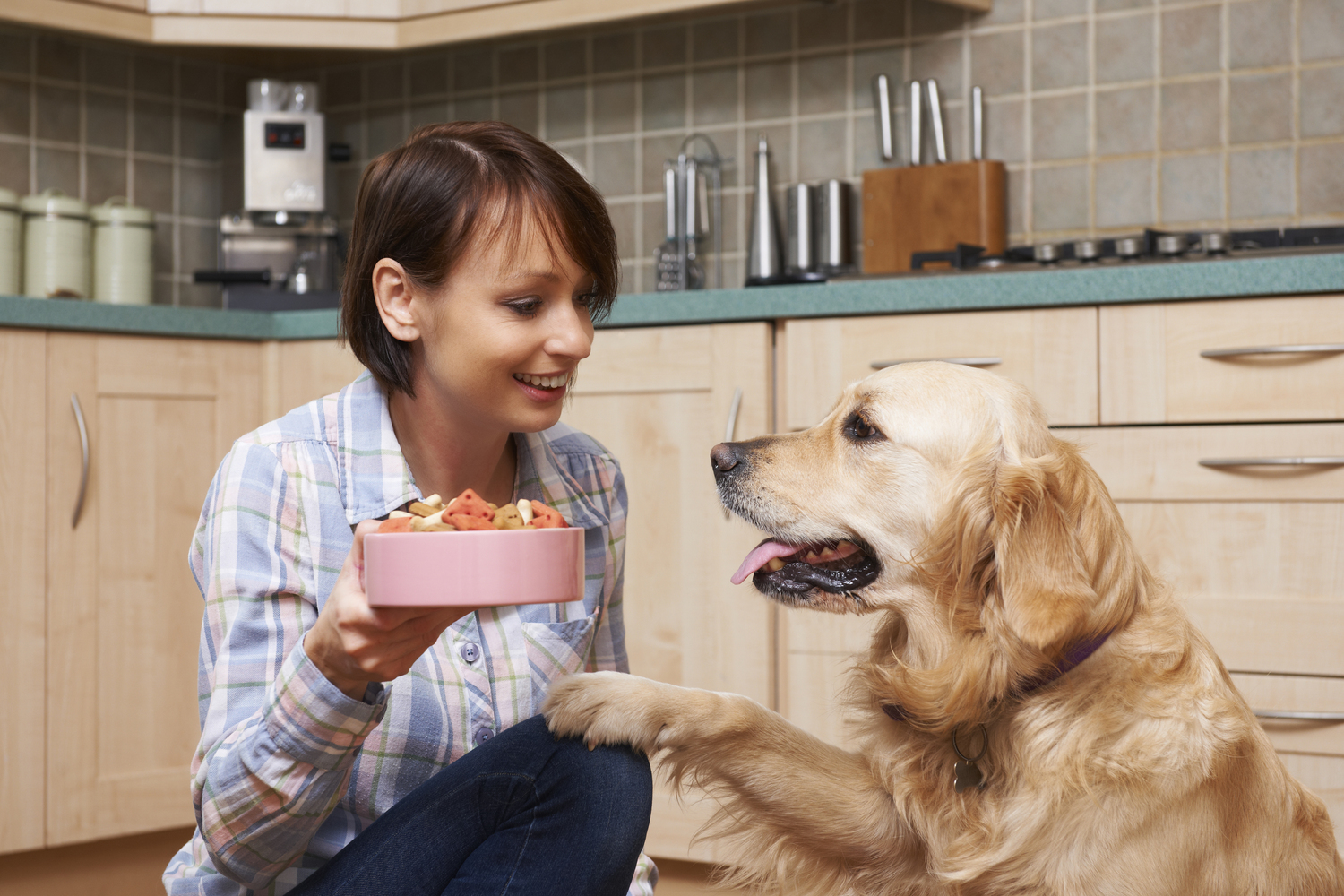5 Human Foods Dogs Can Enjoy
