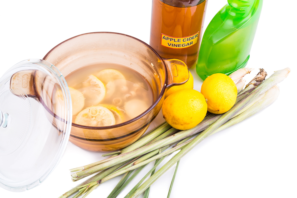 5 Home Remedies to Prevent and Manage Fleas